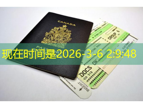 从北京到柏林：一个三口之家的移民之路——汉德欧移民如何用专业与温度，让梦想照进现实？
